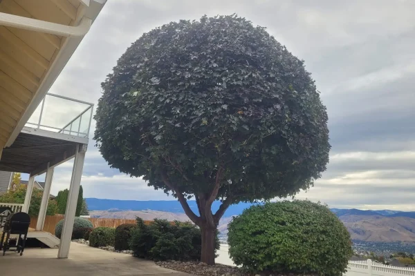 475835792_585573784231394_495727212931094581_n