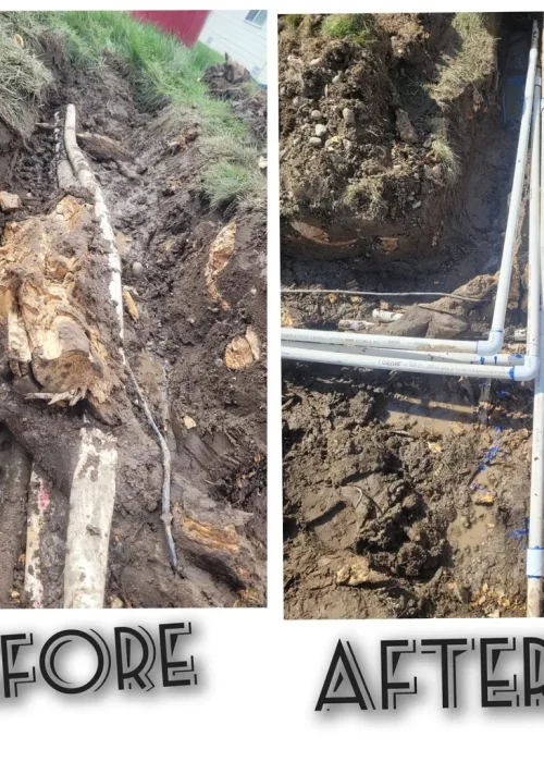 imgi_13_660499b2ac4c137e94521a9d