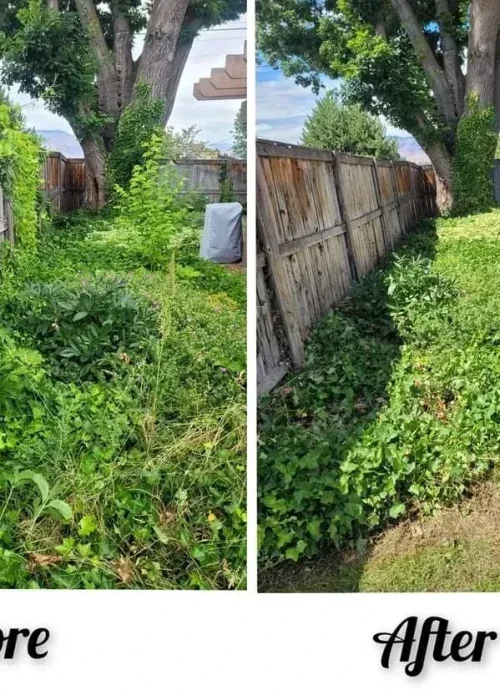 imgi_22_66049d2aac4c135b42521b70