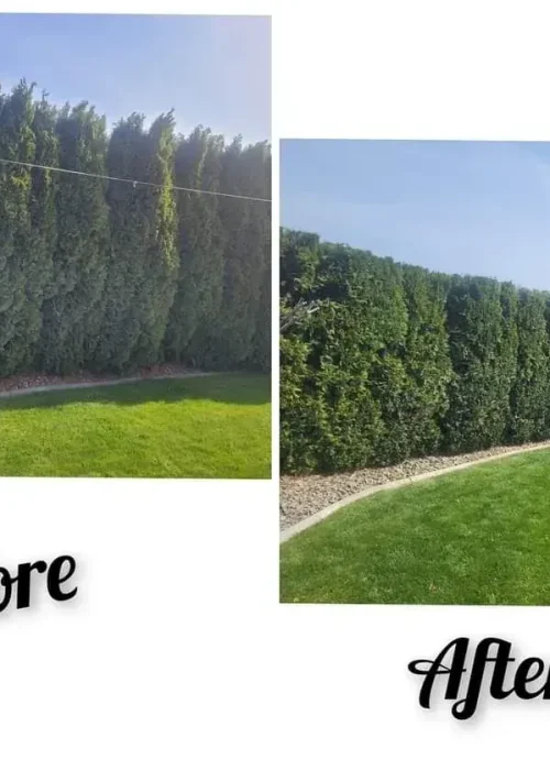 imgi_24_66049d2aac4c1328db521b71