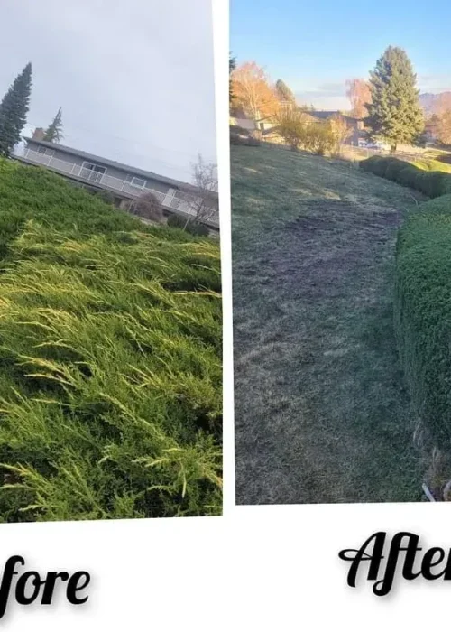 imgi_25_66049d2a99b5217f81bbeb73