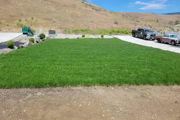 imgi_29_66049d2aa79bbe1229bd6f78