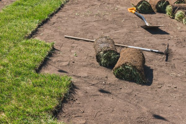 Laying sod for new garden lawn - turf laying concept