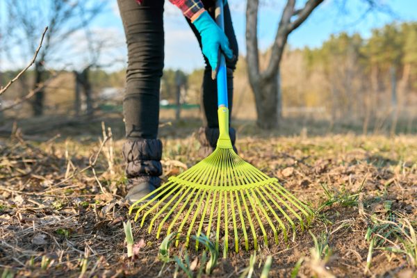Spring seasonal gardening, rake cleaning backyard close-up